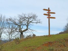 Gezi adierazgarriak Eskisaroiko lepoan