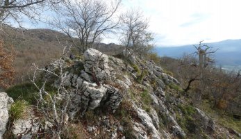 Gainolarriko gailurra