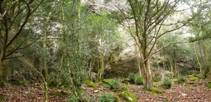 Harria hasten den bazter ederra. Honaino bide egokia dago...