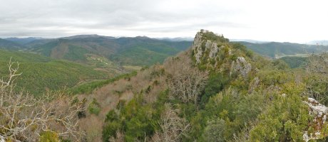 Gailurra gandorretik