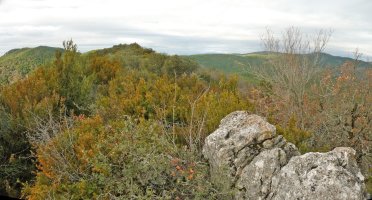 Gandor deserosoak oztopo ugari jarriko digu