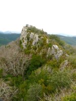 Aginagako Harriko gailurra