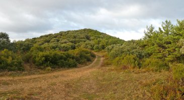 Txaparro eta San Martin arteko lepoa