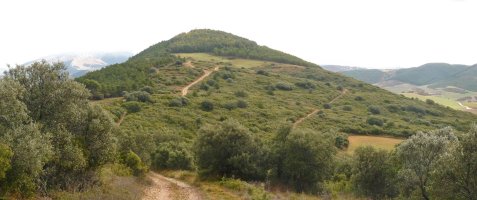 San Martin, Txaparrotik