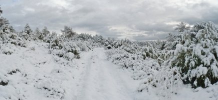 Lutxandiko hegietan gora