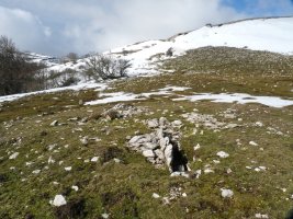 Trekua Goñi trikuharria