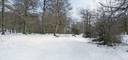 Langa, Bordas Viejasen hegoaldeko basoan