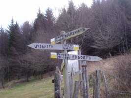 Bide gurutzea Urdanetan