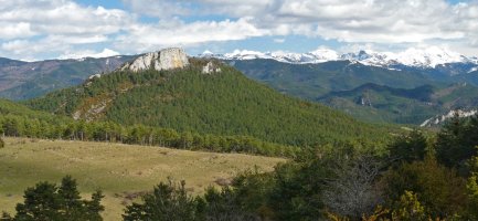 Alduko Harria, Sagarranako lepotik
