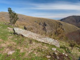 Intzipideko lepoko zutarria