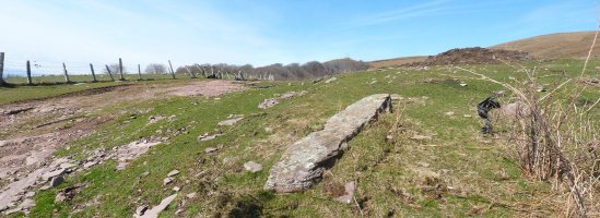 Intzipideko lepoko zutarria