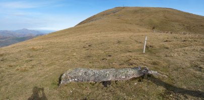 Maistrugaingo zutarria