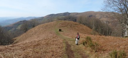 Panorama Otsomeakatik mendebalderantz
