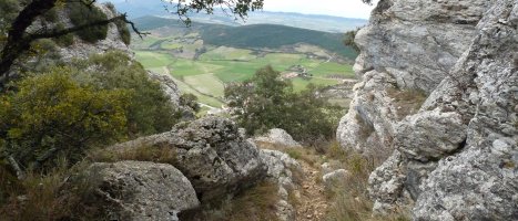 Ollobarrengo bide zoragarria