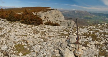 Sartzaletako buzoidun gaina