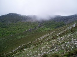 Umion hego-mendebaldeko pagadia