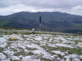 Mancubo tontorretik Verdina, Buey, ...