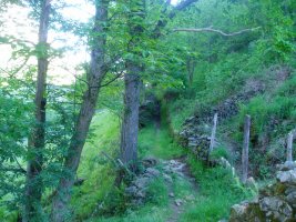 Bidea Asonetik Socuevara