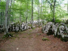 Irupagoeta-Lizarrusti1