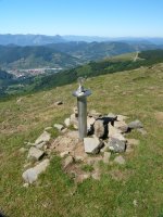 Petriketako txartelontzia "Leitzako aizkolarien omenez"