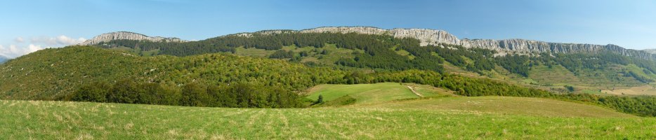 Berrendiko gandorrak Itzagibeldik