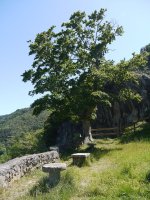 Egoteko leku ederra da ingurua