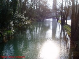 Tabirako olaren antepara