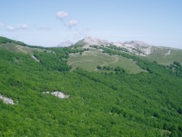 Kurutzeberri Andartotik