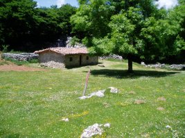 Begibakarraren txabola