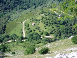 Kaltzada ondo iturria