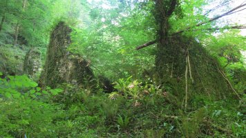 Olazar burdinolaren hondakinak, Larraul