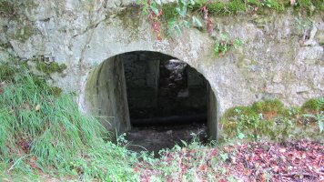 Olea burdinola, Ibarruri-Muxika