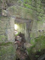 Olea burdinola, Ibarruri-Muxika