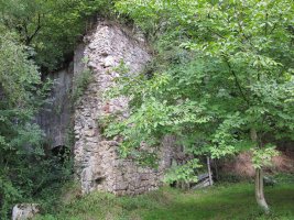 Olea burdinola, Ibarruri-Muxika