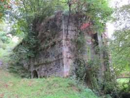 Olea burdinola, Ibarruri-Muxika