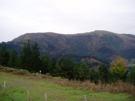 Biderdi eta Belaute Sasiburutik