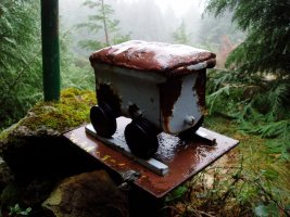 Pico Menorreko txartelontzia