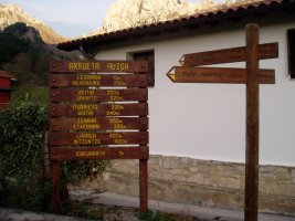 Abiapuntuko seinaleak