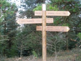 Olarreta aldeko seinale berria>Akalarra