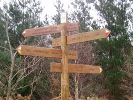 Santigaztelurako seinale