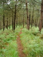 Bideko pasarte bat Tontorramendi inguruan