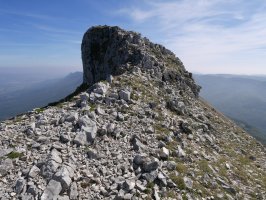 Tontorra Mendebaldetik