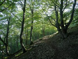 Atauko mendateko igoera