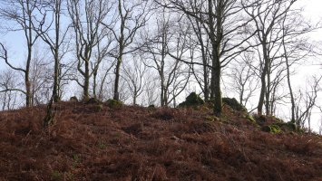 Saratze gaina, iratzez inguratua