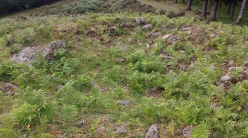 Irukurutzeta Trikuharria 2