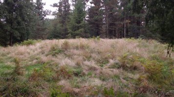 Tranpaluarri tumuloa