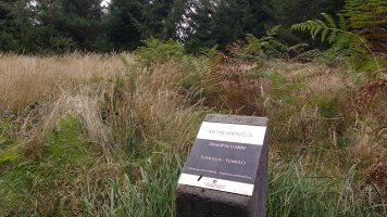 Tranpaluarri tumuloa (2017)