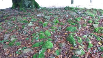 Arrolamendi I tumuloa 4