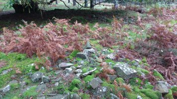 Arrolamendi I tumuloa 3