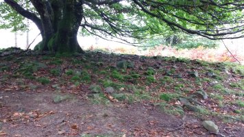 Arrolamendi I tumuloa 2